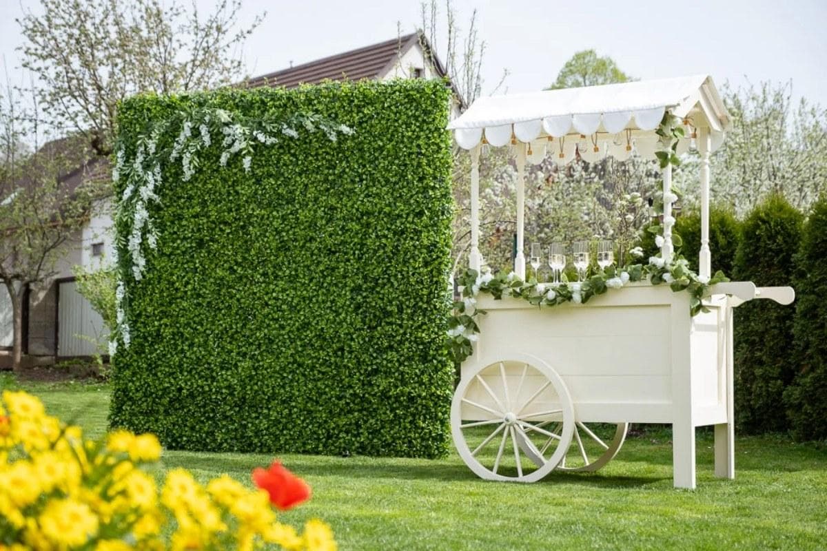 Osviežujúci svadobný catering